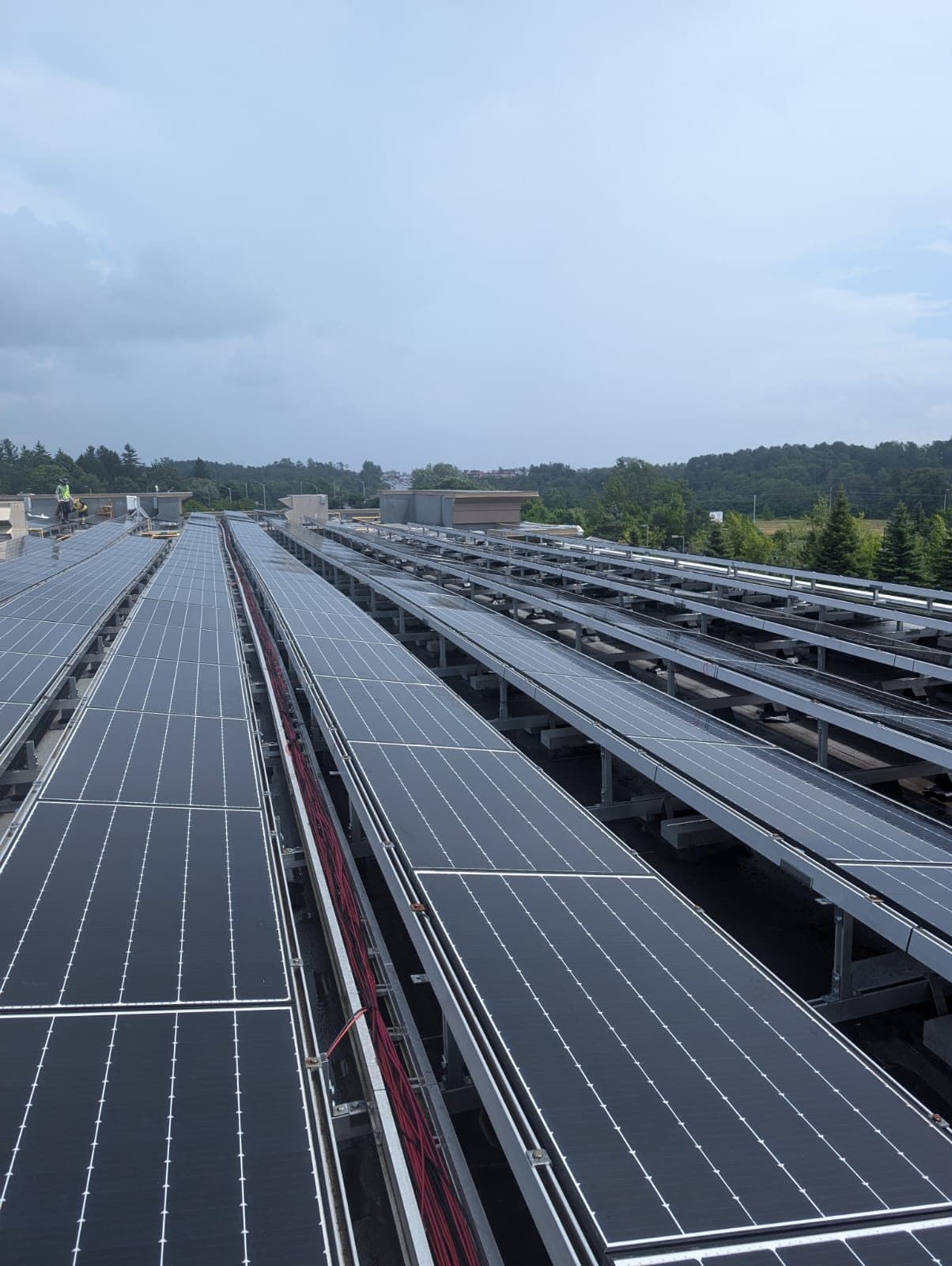 Rows of rooftop solar modules at a Dymon facility in Ottawa